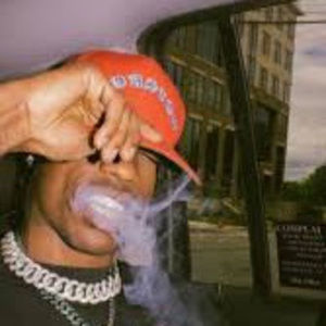 Meet your Posher, Casey